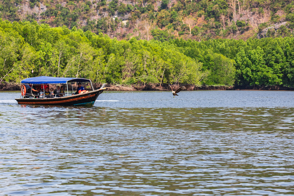 A tour boat on the mangrove river through the Kilim Geoforest.